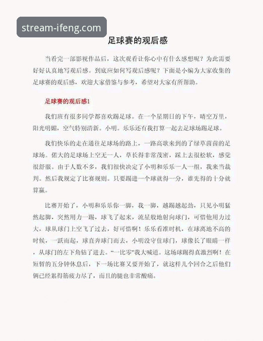 资深用户亲历：U19国足土伦杯高光时刻的观赛心得与经验总结