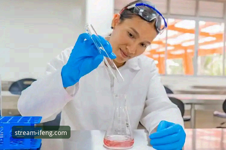 深度揭秘：凤凰体育平台安全吗？一个技术评测员的真实分析